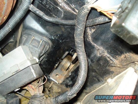Engine bay wiring harness and fuse box with visible text