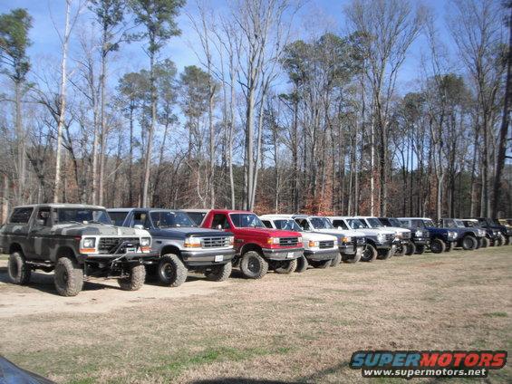 Line of Ford Broncos and F-Series trucks parked in a field with trees behind them. Some are lifted