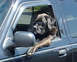 1978 Ford Bronco photo