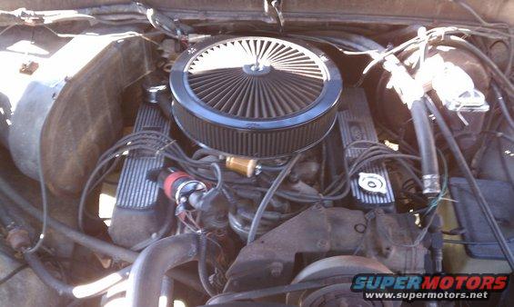 Engine bay with aftermarket air cleaner and V8 engine components