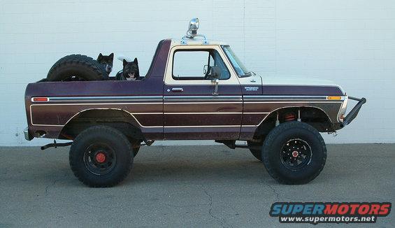 dscf0012.jpg after... hi puppies! the male is 170 pounds & the frmale is 100 