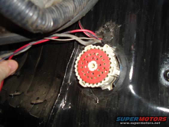 Close-up of a red and white electrical connector with wires