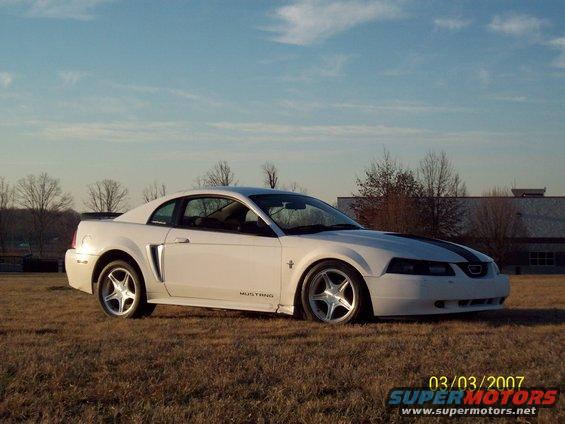 White Ford Mustang coupe with black racing stripes on the hood, parked on dry grass with a building in the background