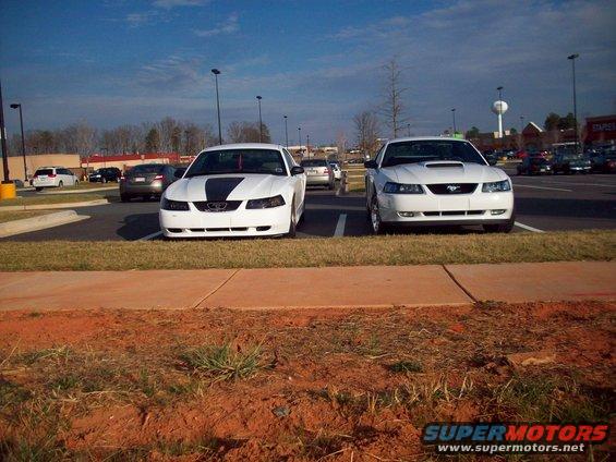 Two white Ford Mustangs parked in a lot, one with a black stripe