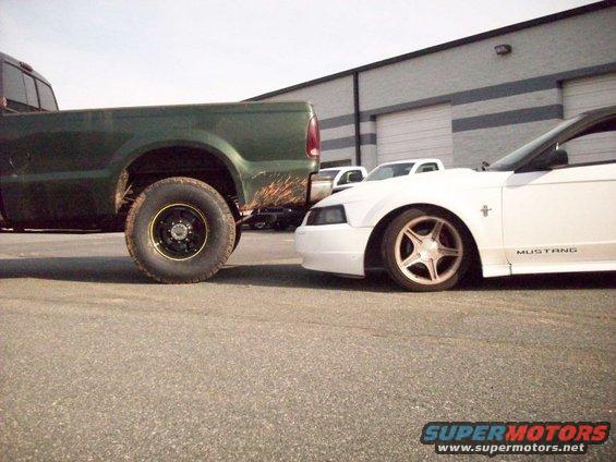 White Ford Mustang parked close to a green pickup truck. Mustang has "MUSTANG" text on its side