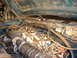 1995 Ford Bronco - View of the engine compartment, showing various hoses and electrical connections.
