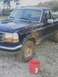 1995 Ford F-150 - oleblue