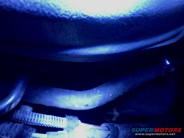 1995 Ford F-150 photo