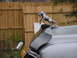 1986 Ford Bronco - Custom bronco hood ornament
