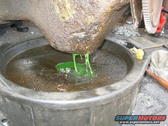 61oil.jpg The first thing to come out of the oil drain was nice fresh coolant.

[url=https://www.supermotors.net/registry/media/902366][img]https://www.supermotors.net/getfile/902366/thumbnail/41engine.jpg[/img][/url]