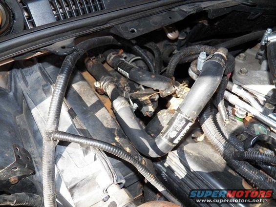 Engine bay showing coolant hoses and wiring. Some text is visible on the hoses
