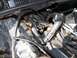 1993 Ford Crown Victoria - Close-up view of engine coolant hoses and associated wiring within the engine compartment.