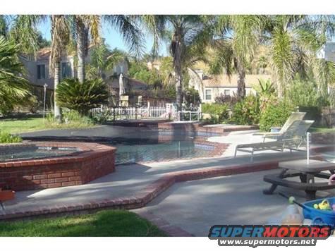 Backyard with swimming pool, lounge chairs, picnic table, and palm trees