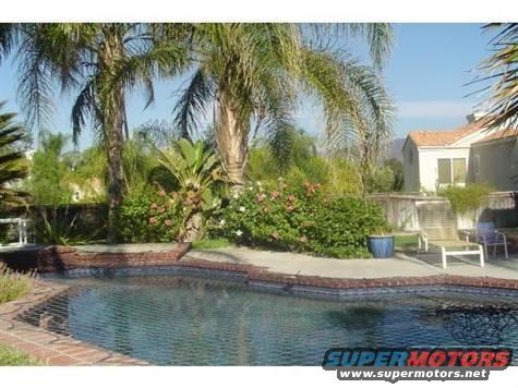 Backyard swimming pool with palm trees and a house in the background