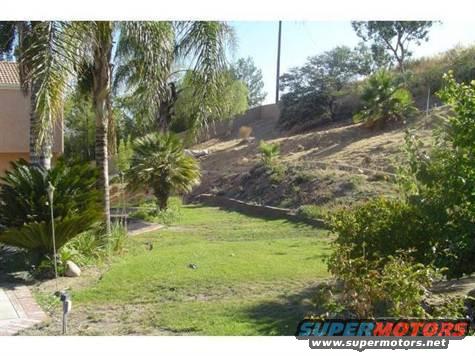 Backyard scene with palm trees, a grassy lawn, and a dirt slope. Watermark reads SUPERMOTORS.NET