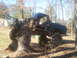 1978 Ford Bronco - This heavily modified 1978 Ford Bronco sits on a tree stump, its front end showing significant damage and exposed engine components.