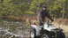 1994 Yamaha TIMBERWOLF - A man rides an all-terrain vehicle through shallow water and mud, surrounded by trees and reeds.