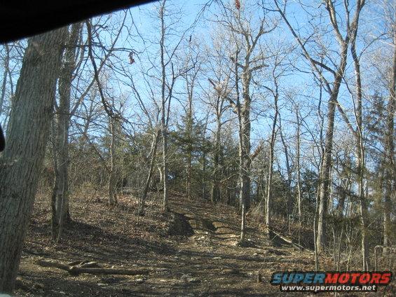 Dirt road winding uphill through a bare-branched forest under a clear blue sky