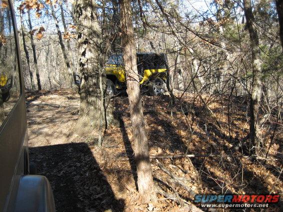Yellow Jeep Wrangler on wooded trail
