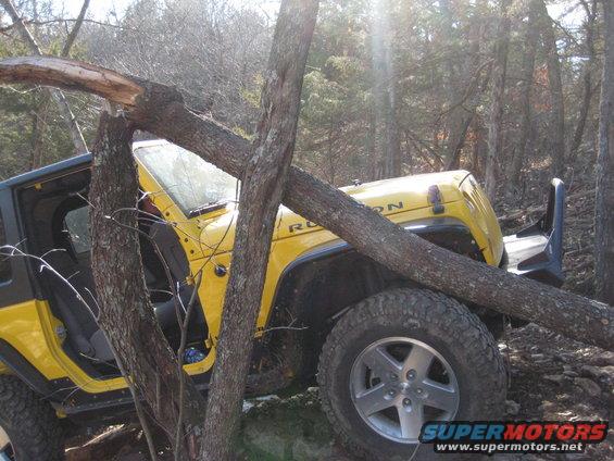 Yellow Jeep Wrangler stuck on a trail with a fallen tree across its hood