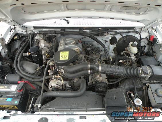 engine bay with hoses, battery, and engine components visible