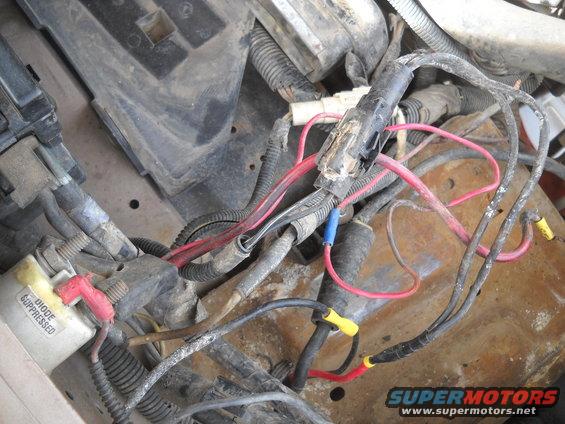 Engine wiring harness with red and black wires, blue and yellow connectors