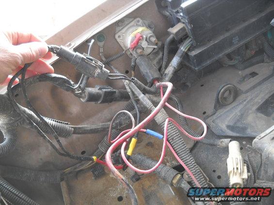 Close-up of engine wiring harness with connectors and red/pink wires