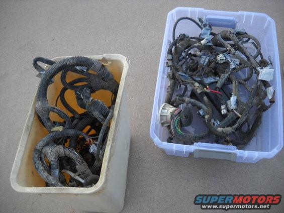 Two bins filled with vehicle wiring harnesses