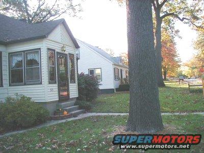 Two houses and a large tree in a suburban setting with autumn leaves on the ground