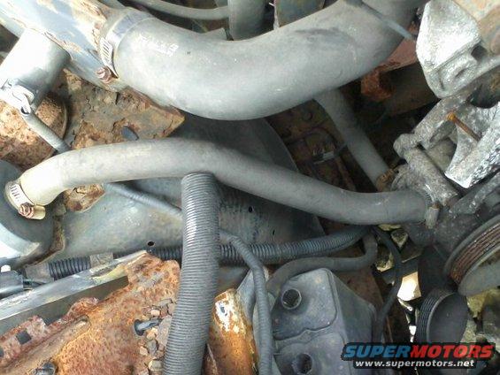 Engine bay with hoses, rust, and SuperMotors.net watermark