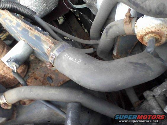 Close-up of engine hoses and metal clamps, some showing rust