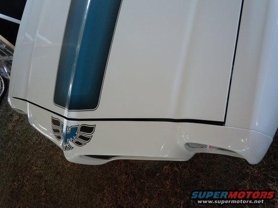 White car hood with blue stripe and a blue bird decal on the front corner. Looks like a Trans Am