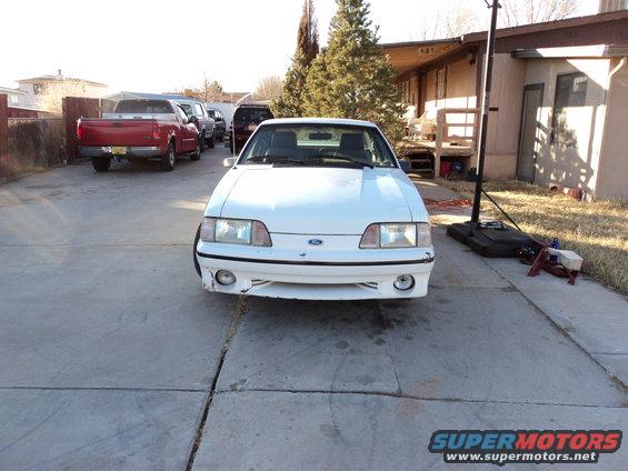 White Ford Mustang parked in driveway, red pickup truck and other vehicles behind it