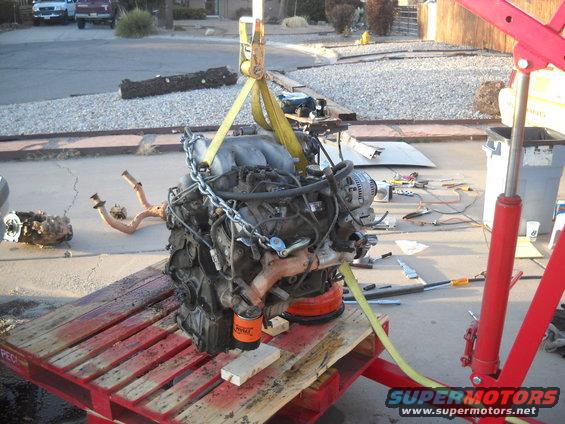 engine on a pallet, being lifted by a red engine hoist. Exhaust manifold and oil filter visible