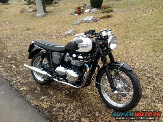 Black and white Triumph Bonneville motorcycle parked on a grassy area with fallen leaves
