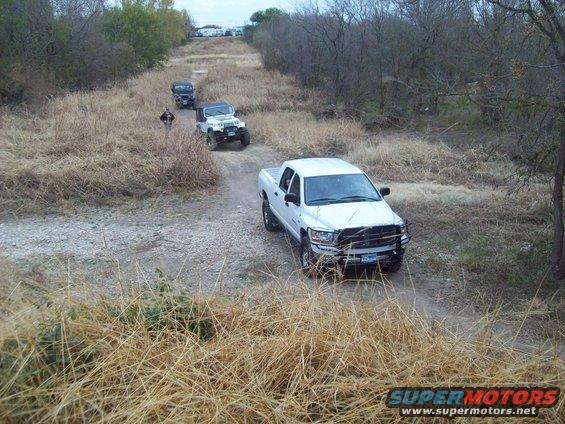White pickup truck and multiple Jeeps driving on a dirt road through dry grass and trees