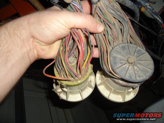 Hand holding two large electrical wiring harness connectors with many colored wires