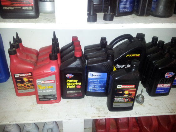 Bottles of Motorcraft, Pyron, and GM fluids on shelves