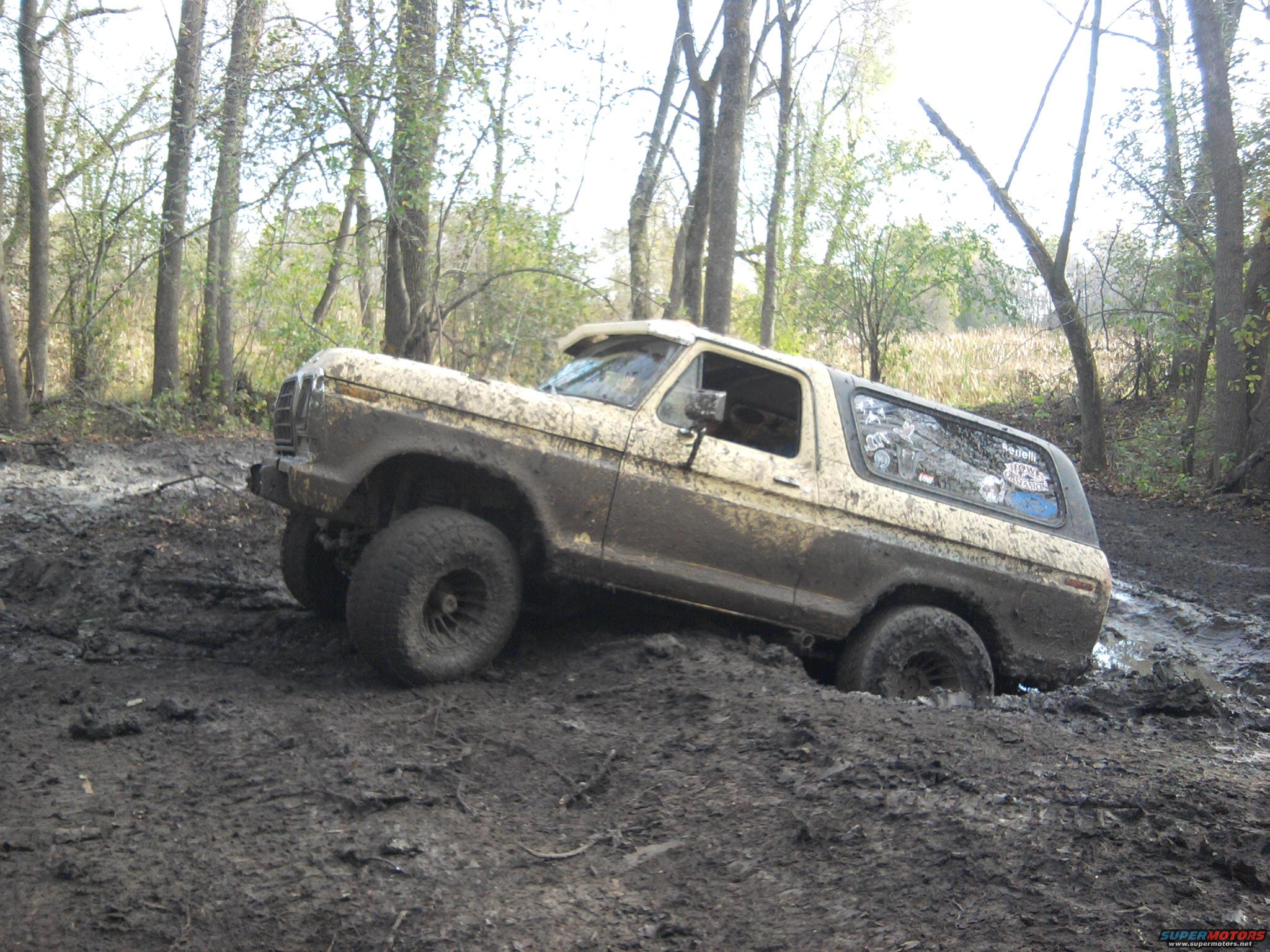 1978 Ford Bronco photo