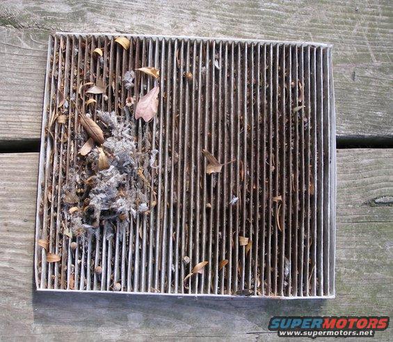 cabin-filter-coupe.jpg 
