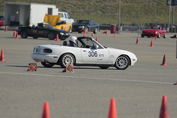 _mg_8480vi.jpg 
