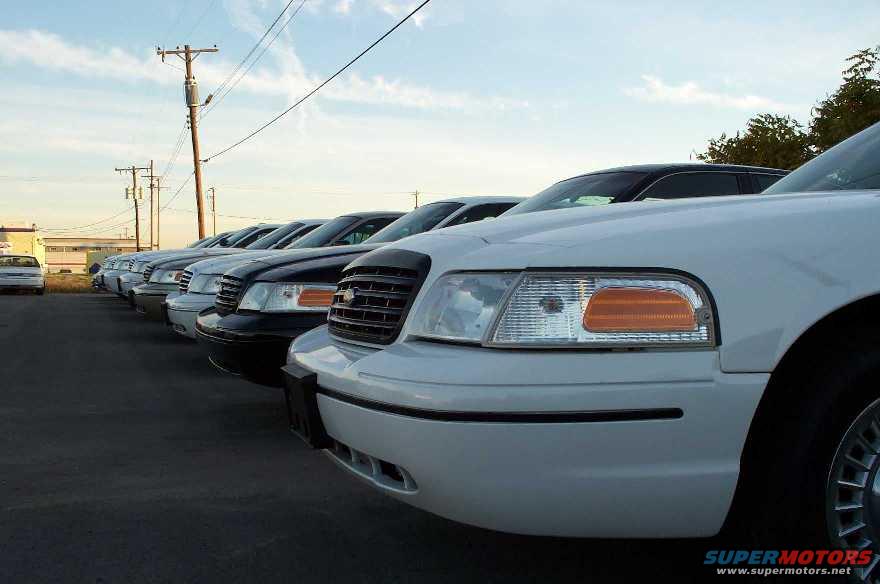 vic-grilles-row50.jpg The back row.