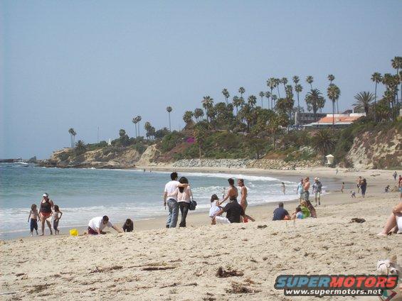 People relaxing on a sandy beach with palm trees and ocean waves
