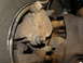 1995 Ford Bronco - This image shows the brake caliper and rotor of a vehicle, with visible rust on the components.