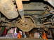 1995 Ford Bronco - Underside view of a heavily rusted 1995 Ford Bronco rear axle assembly supported by orange jack stands.