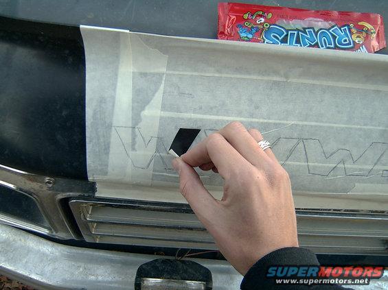 bugshieldproject-021.jpg Then pull what you want painted out