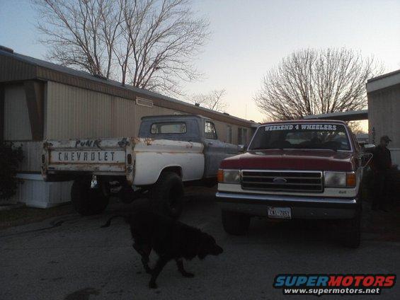 Red Ford pickup truck parked next to an older Chevrolet pickup. Dog in foreground