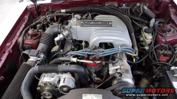 1989 Ford Mustang engine bay with 5.0 HO badging