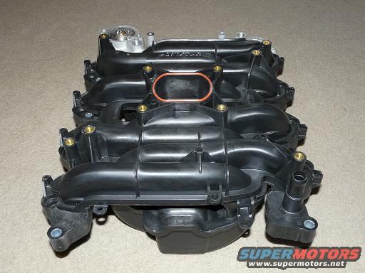 Black plastic intake manifold with brass fittings and an orange gasket