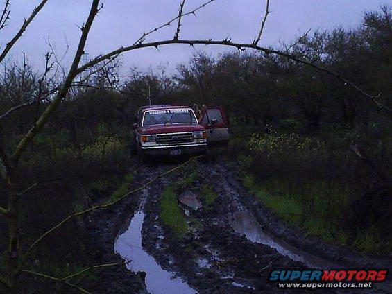 Red pickup truck with open driver door stuck on muddy track with thorny branches overhead